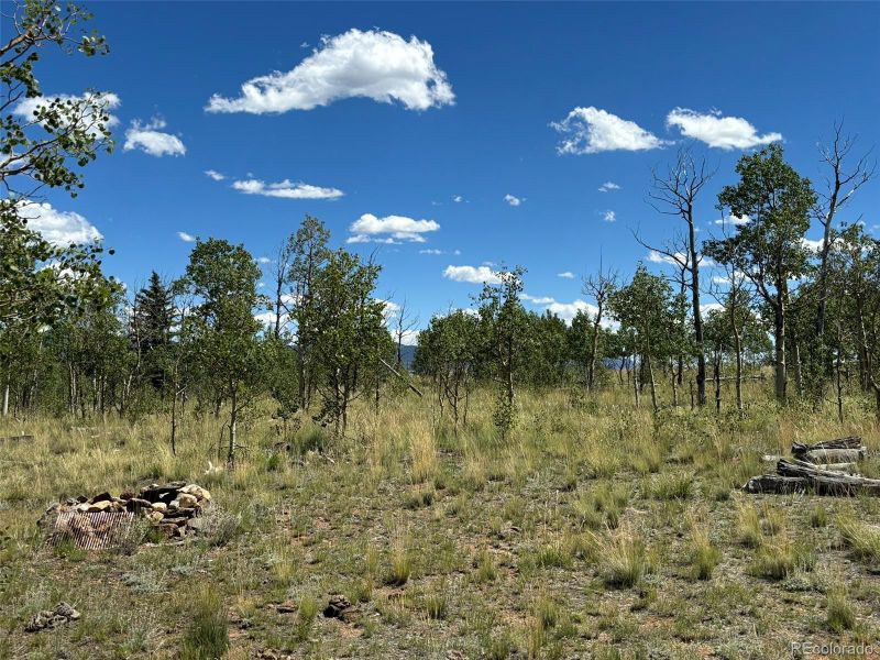 38 Meadow Dr, Como, CO 80432