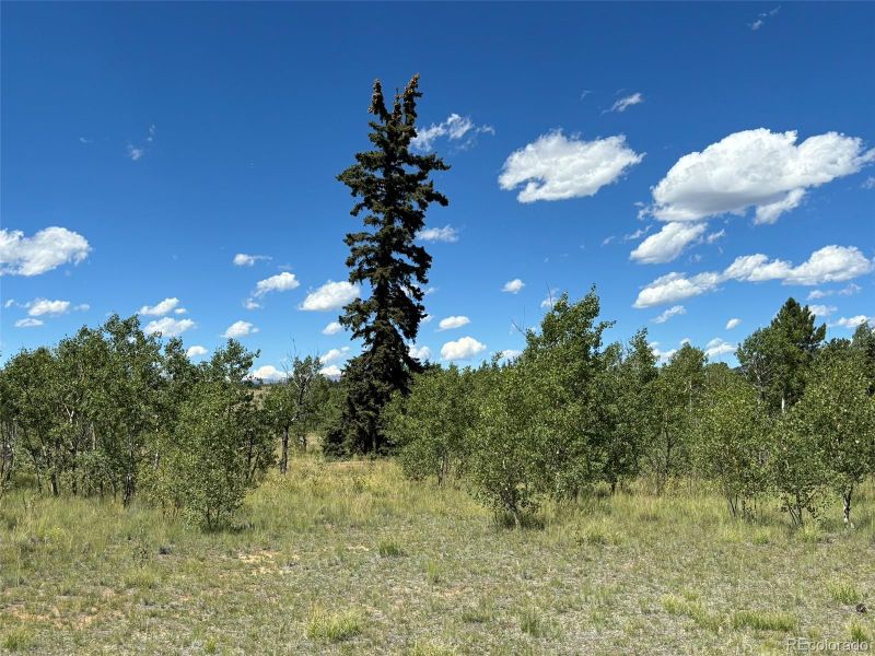 38 Meadow Dr, Como, CO 80432