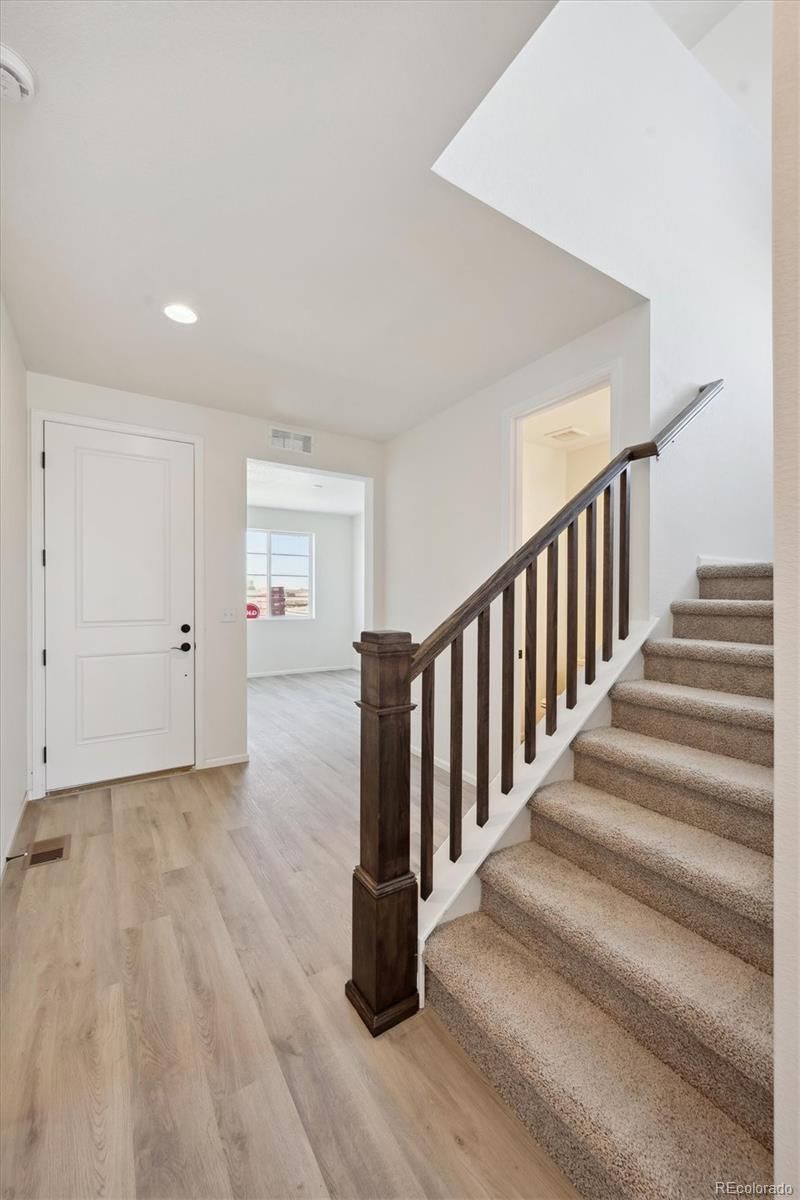 997 Sandhills St, Windsor, CO 80550
