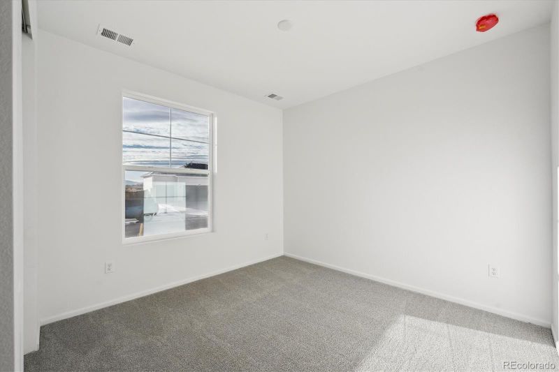 6129 Amerifax Dr, Windsor, CO 80528