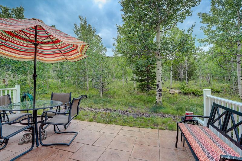 865 N Vernon Dr, Central City, CO 80427