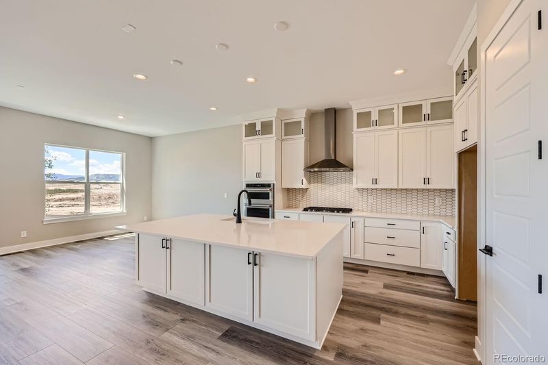 59 Leafy Aster Ln, Castle Rock, CO 80104