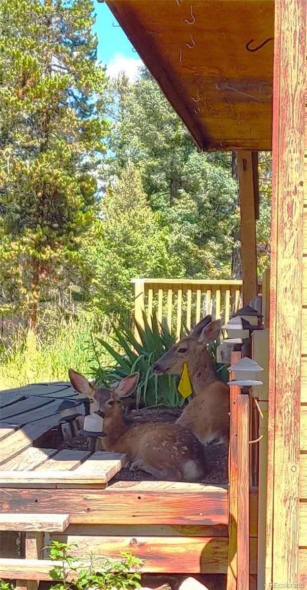 25077 Red Cloud Dr, Conifer, CO 80433