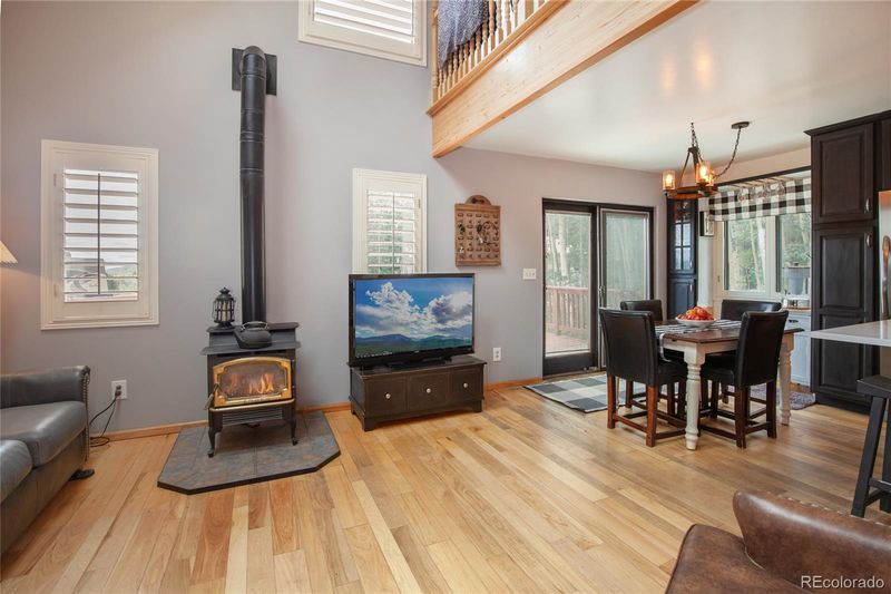 42 Clover Ct, Fairplay, CO 80440