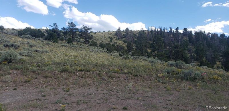 4738 Trudell Rd Lot 4738, Fort Garland, CO 81133
