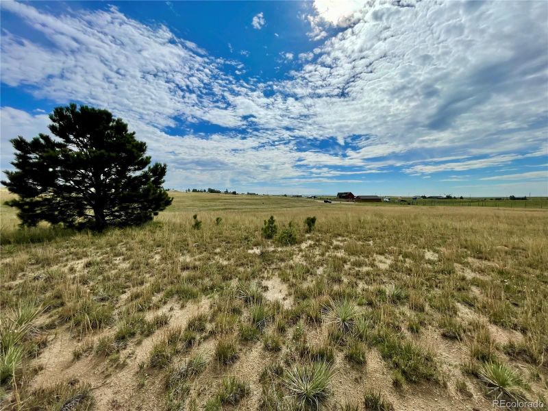 18602 Longhorn Acres Trl, Peyton, CO 80831