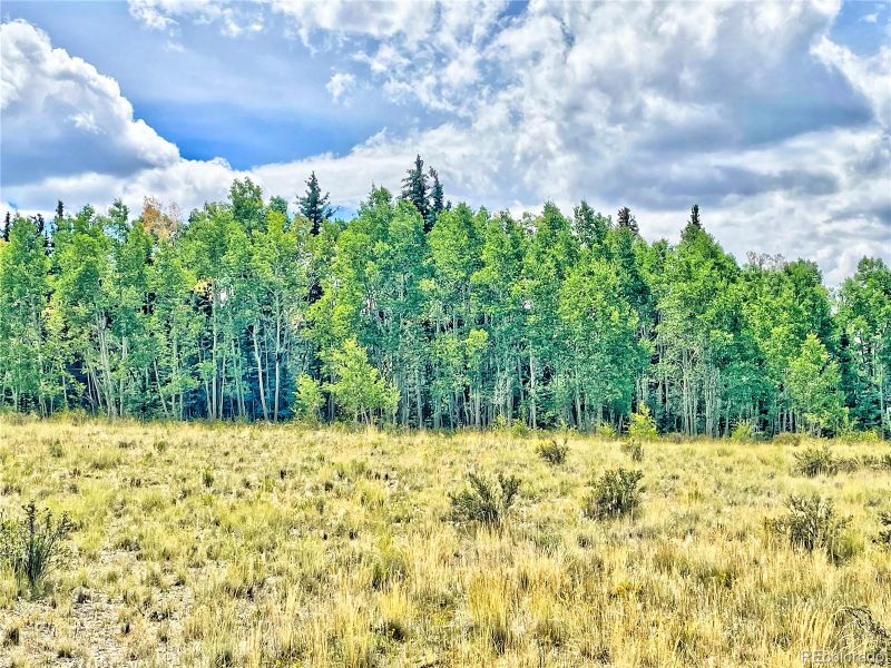 833 S Quarter Horse Rd, Como, CO 80432