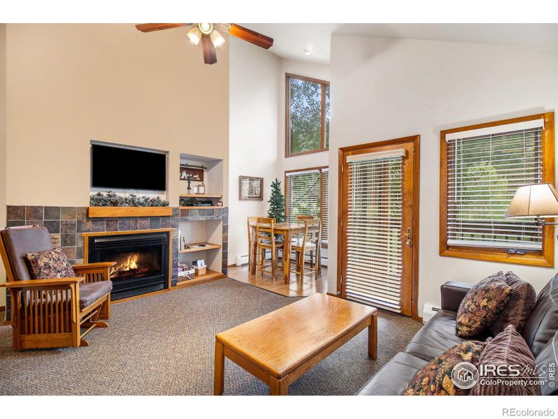 1051 Fall River Ct #4, Estes Park, CO 80517