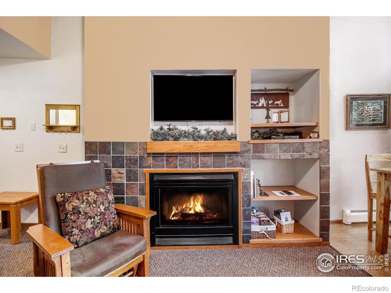 1051 Fall River Ct #4, Estes Park, CO 80517