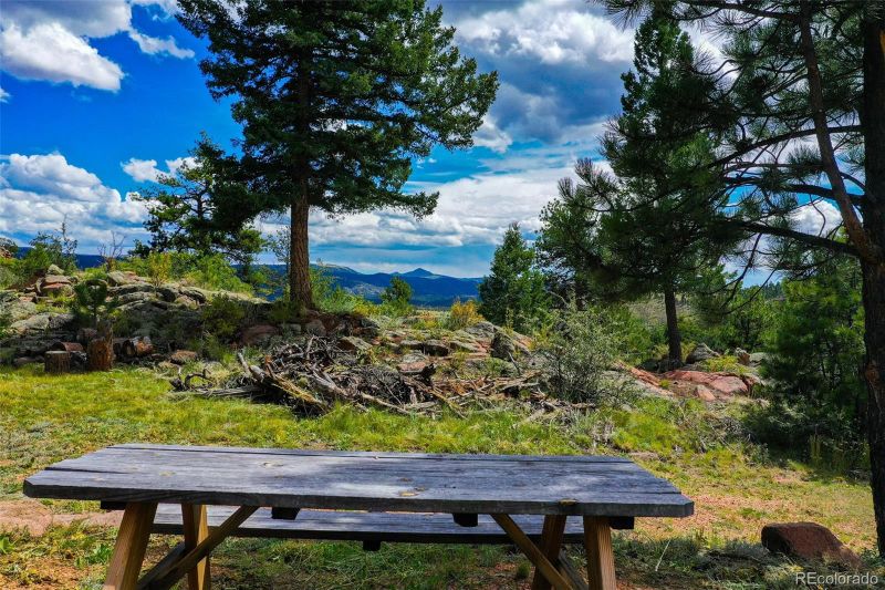 169 Mohawk Cir, Florissant, CO 80816