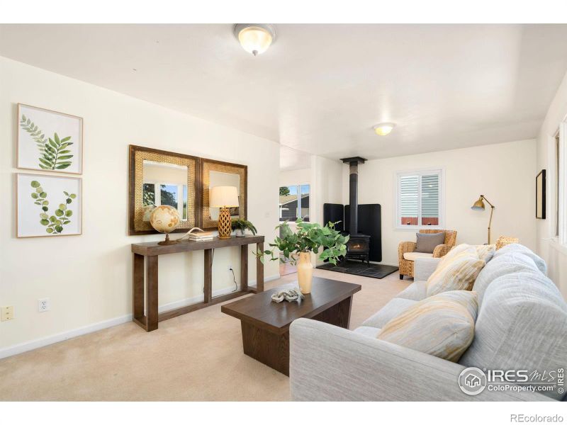3725 Wilson Ave, Wellington, CO 80549