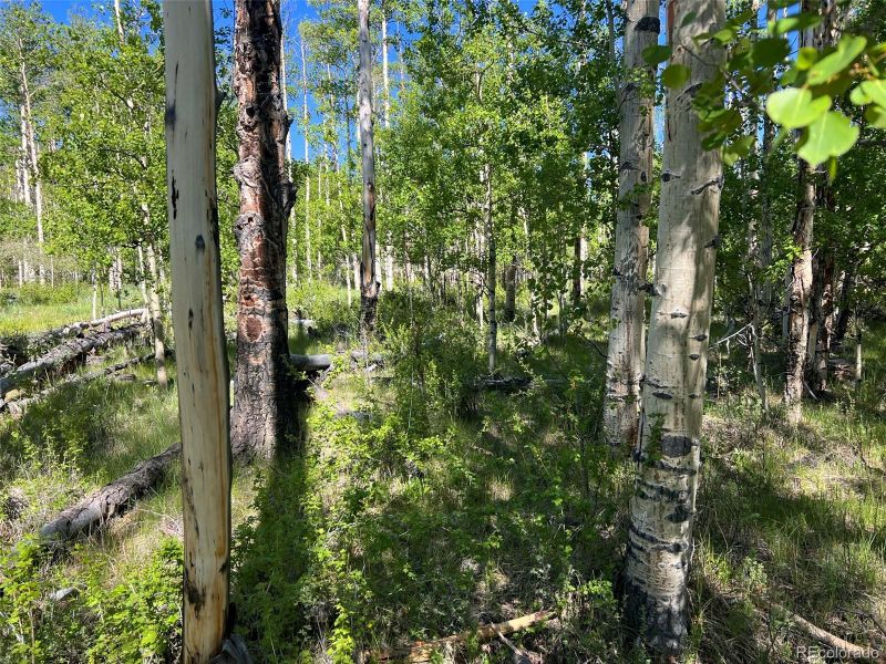0 Sheep Ridge Rd, Fairplay, CO 80440