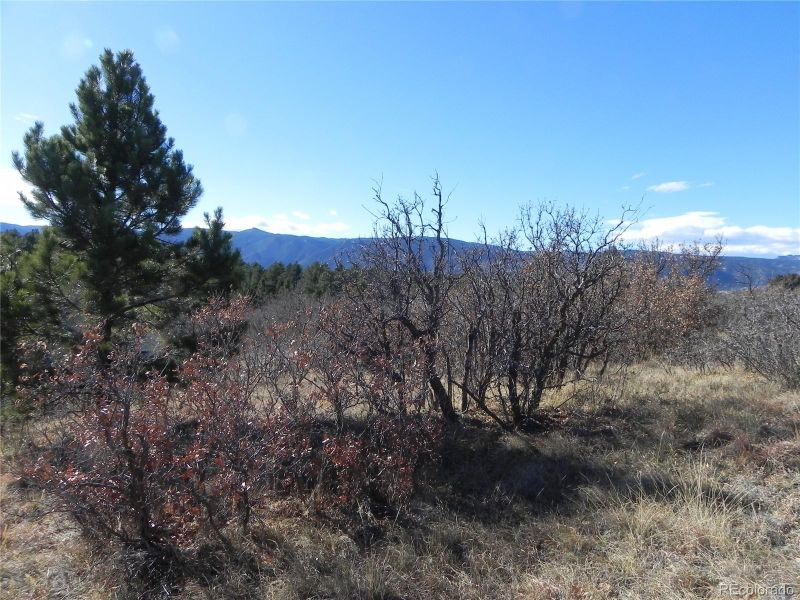 6865 Cinque Tail Dr, Larkspur, CO 80118
