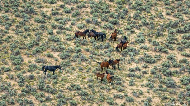 000 Hwy 159, Sanford, CO 81151