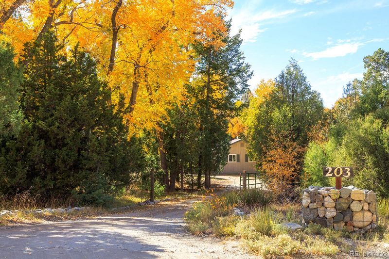 203 Hampton Rn, Mosca, CO 81146