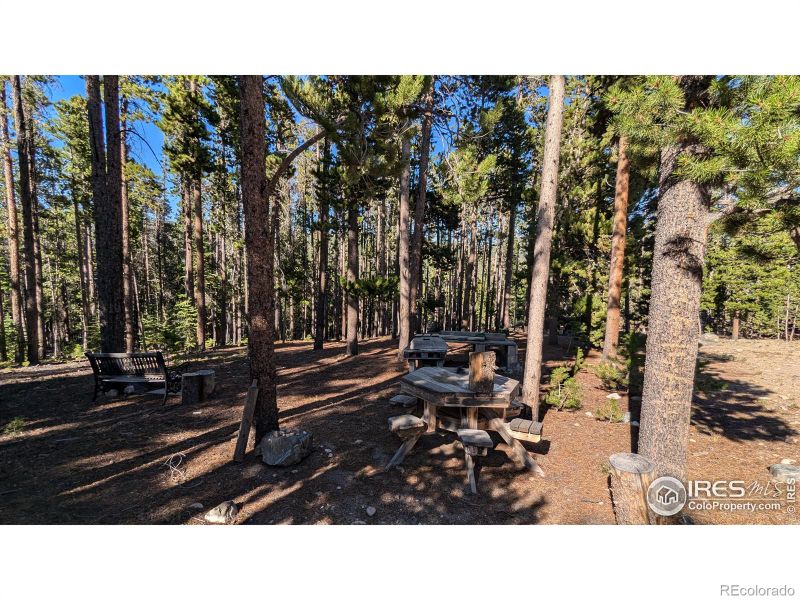1152 Mosquito Dr, Red Feather Lakes, CO 80545