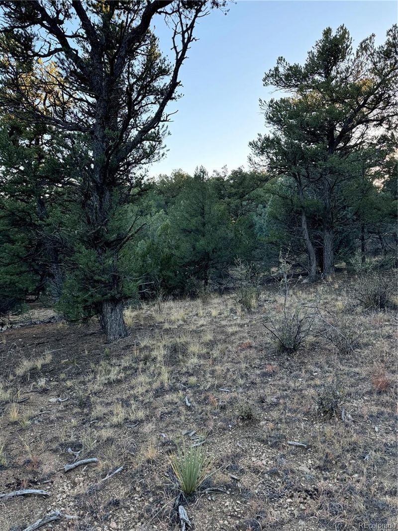 42nd Trl, Cotopaxi, CO 81223