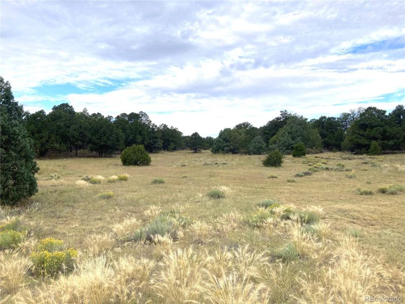 TBD TR 18 Fox Fire Trl, Cotopaxi, CO 81223