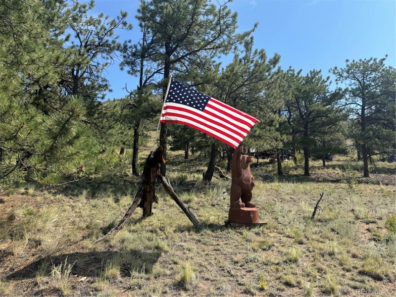 1475 Costella Dr, Hartsel, CO 80449