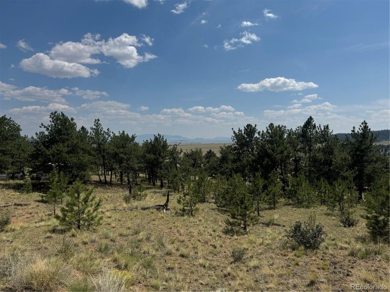 1475 Costella Dr, Hartsel, CO 80449