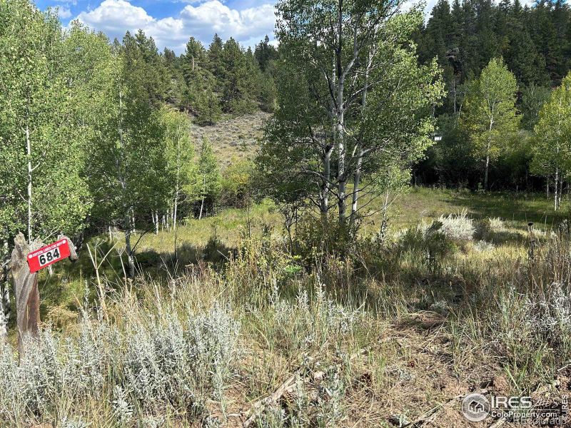 684 Lone Pine Lake Dr, Red Feather Lakes, CO 80545