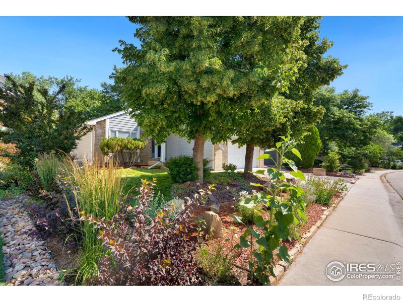1006 Bramblebush St, Fort Collins, CO 80524