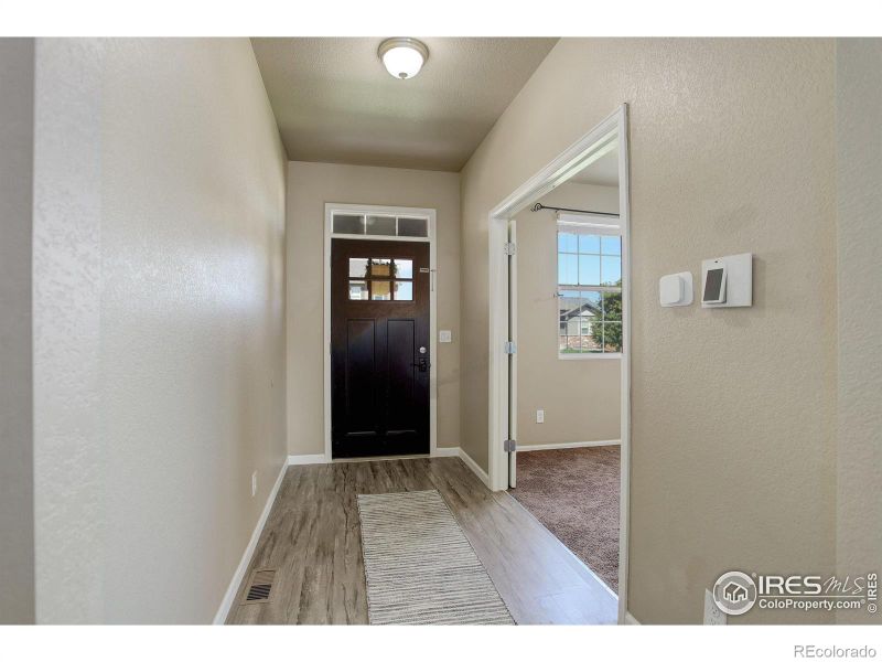 3635 Torch Lily St, Wellington, CO 80549