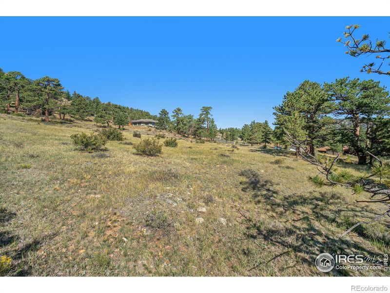 0 Grey Fox Dr, Estes Park, CO 80517