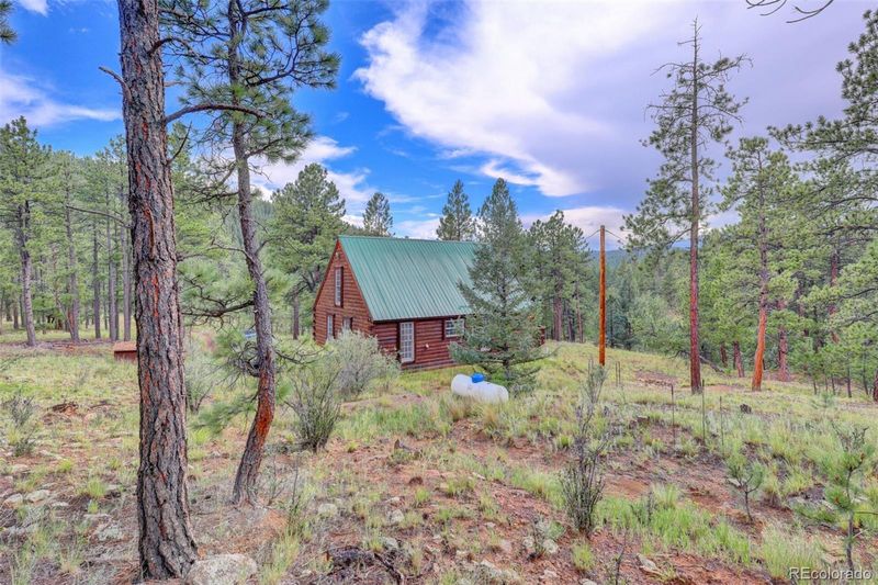 10725 Box Canyon Rd, Weston, CO 81091
