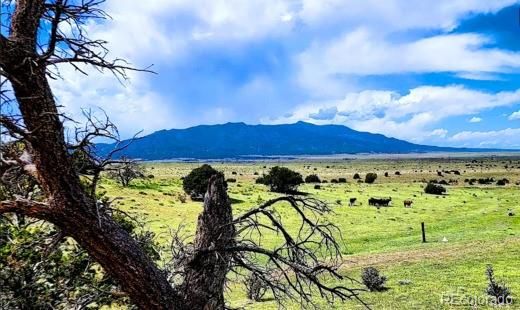 Venado Dr, Walsenburg, CO 81089
