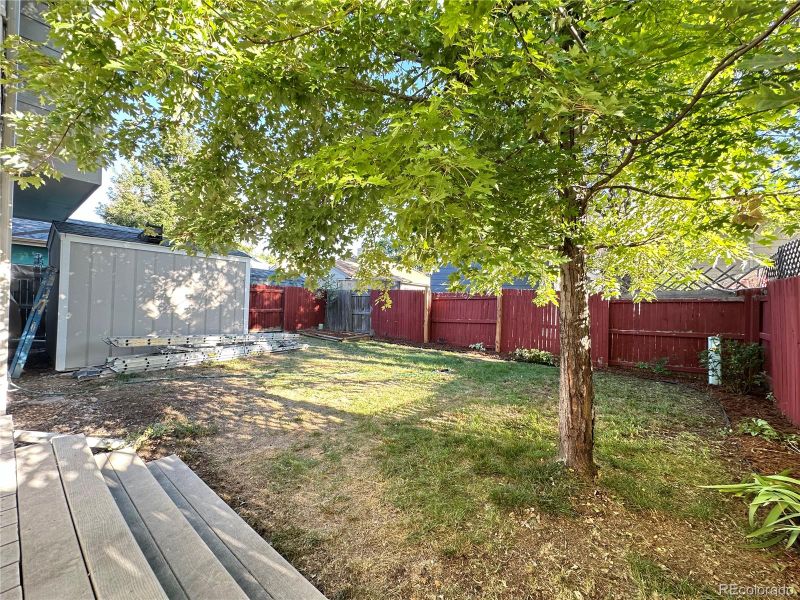 1615 Ervine Ave, Longmont, CO 80501
