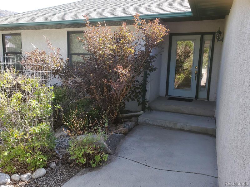 115 Trenton St, Buena Vista, CO 81211