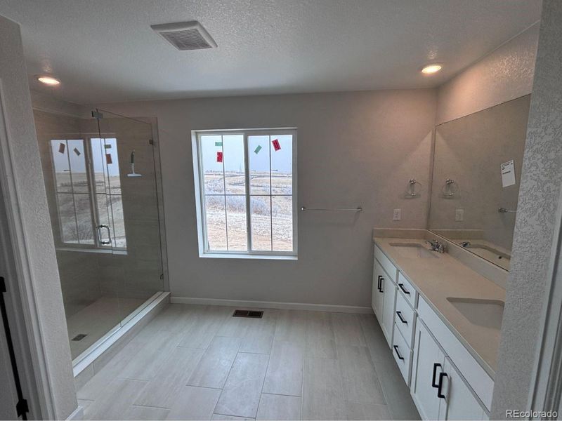 4174 Ridgewalk Point, Castle Rock, CO 80108