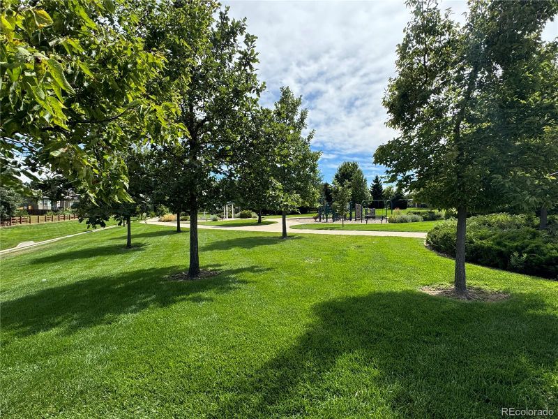 4375 Bramble Rd, Frederick, CO 80504