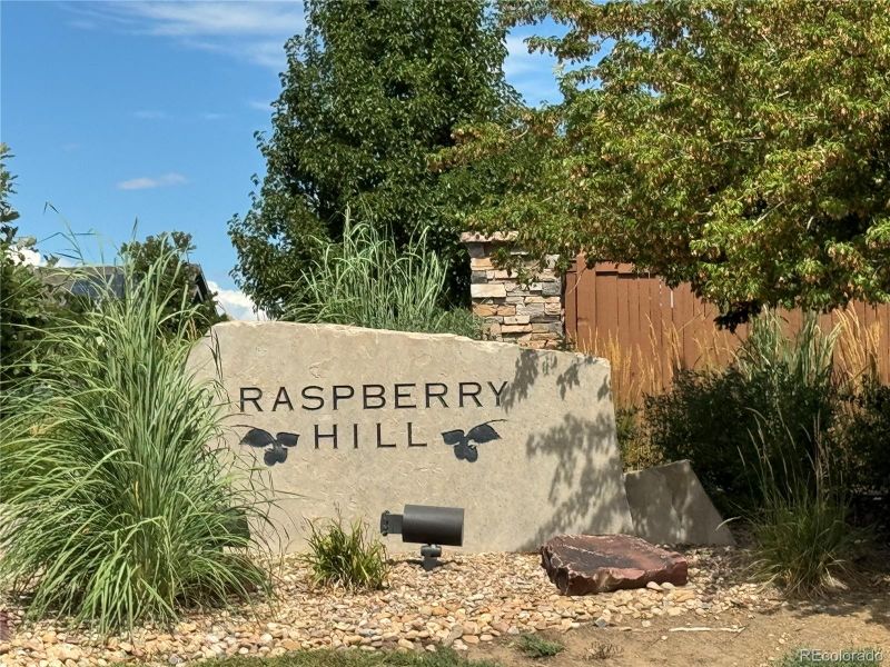 4375 Bramble Rd, Frederick, CO 80504