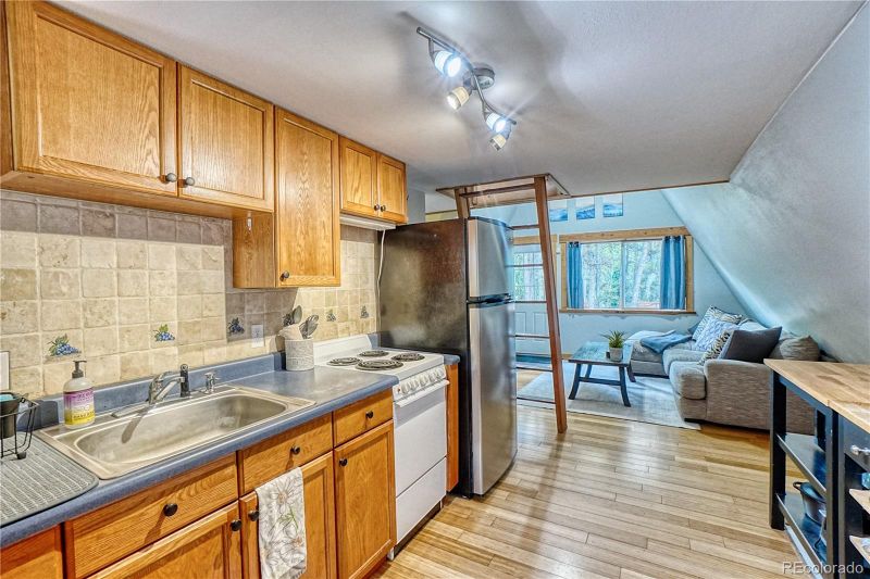 226 Atlantis Dr, Black Hawk, CO 80422