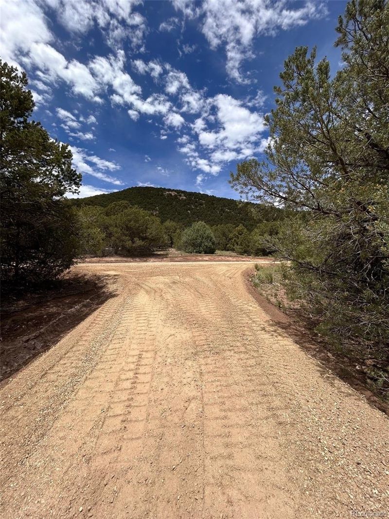 1235 Corral South Rd, Westcliffe, CO 81252