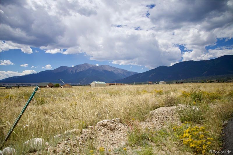 16593 Allen Dr, Buena Vista, CO 81211