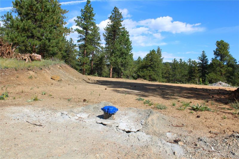 2414 Legacy Ranch Rd, Evergreen, CO 80439