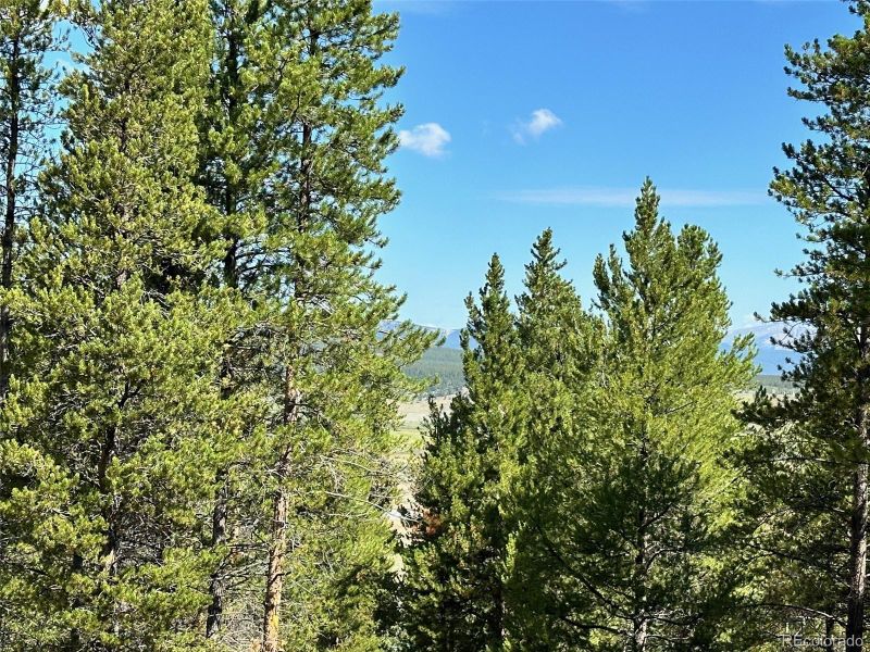776 Spruce Dr, Twin Lakes, CO 81251