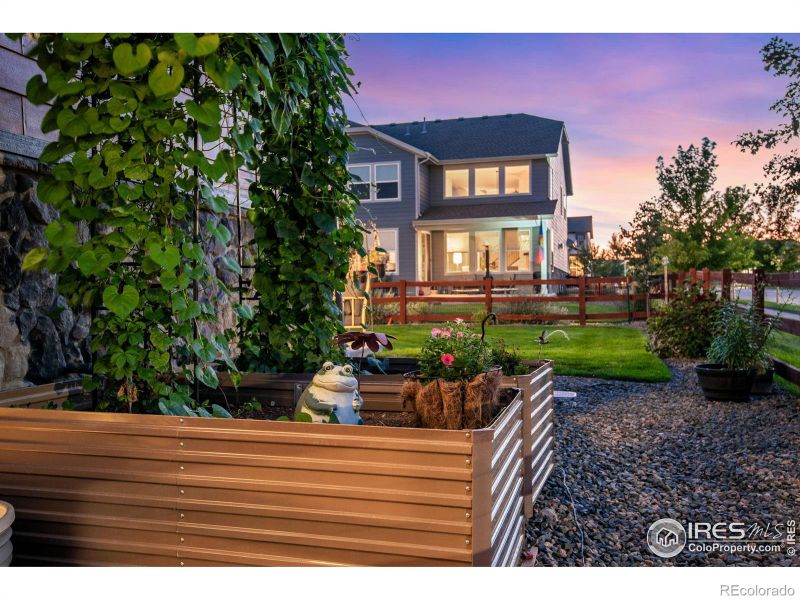 2118 Bouquet Dr, Windsor, CO 80550