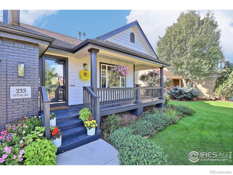 233 Cattail Bay, Windsor, CO 80550