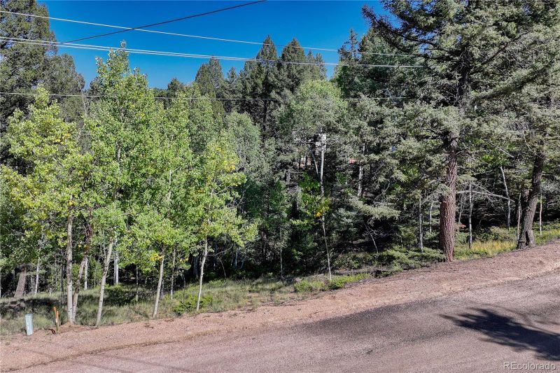 282 Pinon Lake Dr, Divide, CO 80814