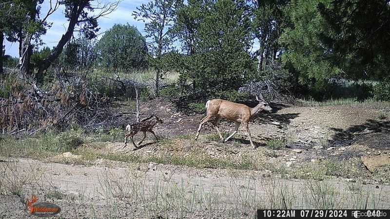 Co Rd 55 4, Trinidad, CO 81082