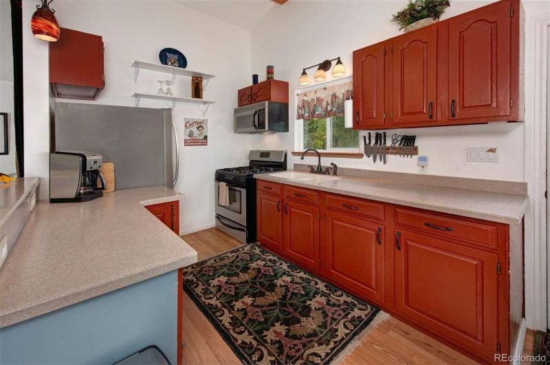 89 Mine Rd, Alma, CO 80420