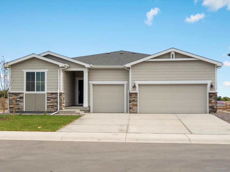 1609 Colorado River Dr, Windsor, CO 80550