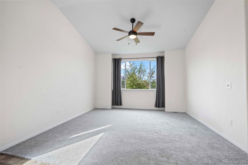 1547 First Light Dr, Windsor, CO 80550