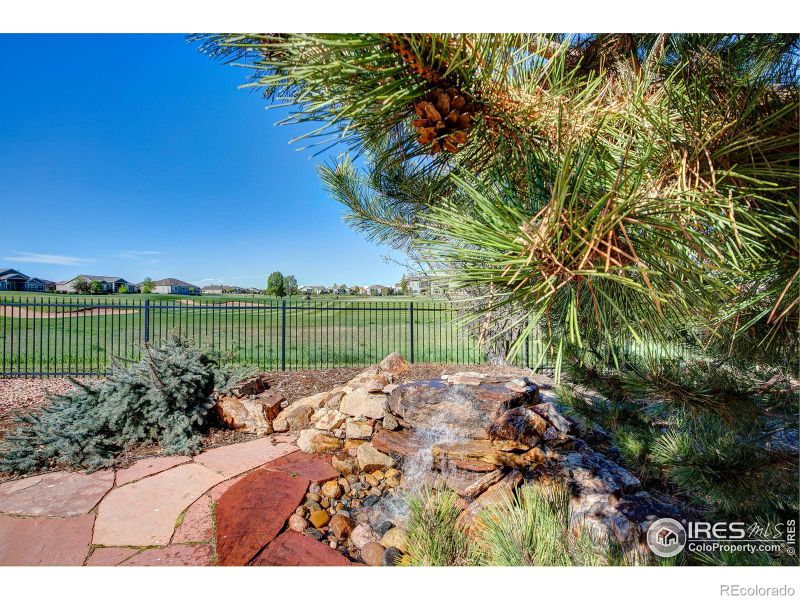 6001 Bay Meadows Dr, Windsor, CO 80550