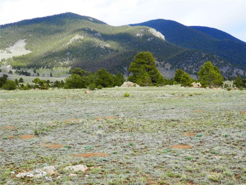 2315 Imboden Rd Lot 07, Hartsel, CO 80449