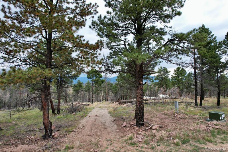 281 Biel Pl, Fort Garland, CO 81133